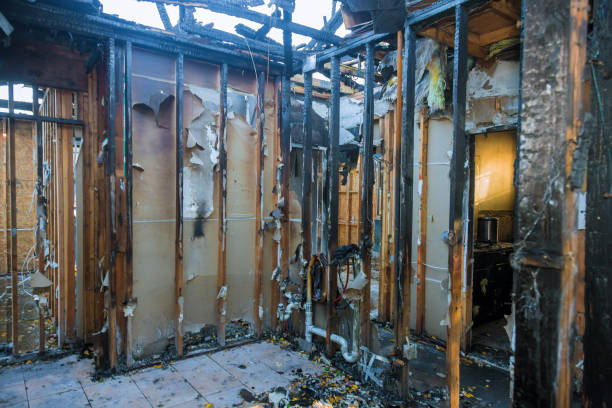Professional Fire Damage Removal technician working in Ringoes, NJ