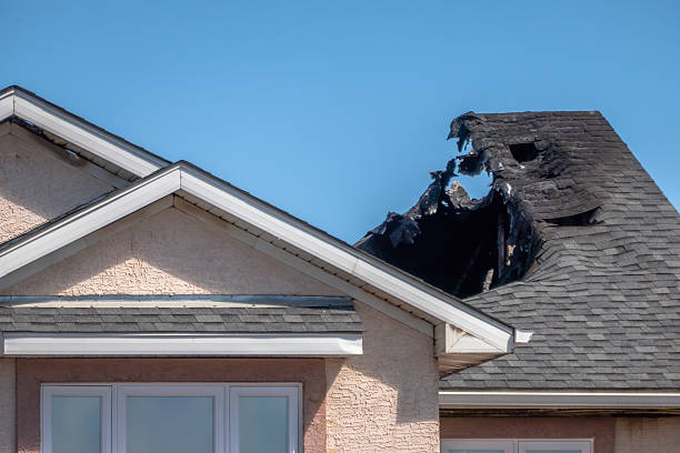 Top rated local Fire Damage Removal specialists in Ringoes, NJ